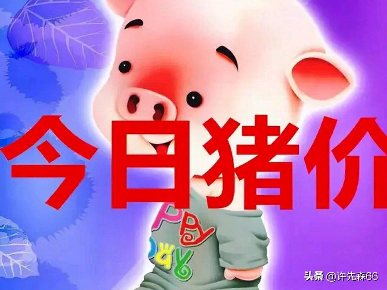娱乐生活 第69页