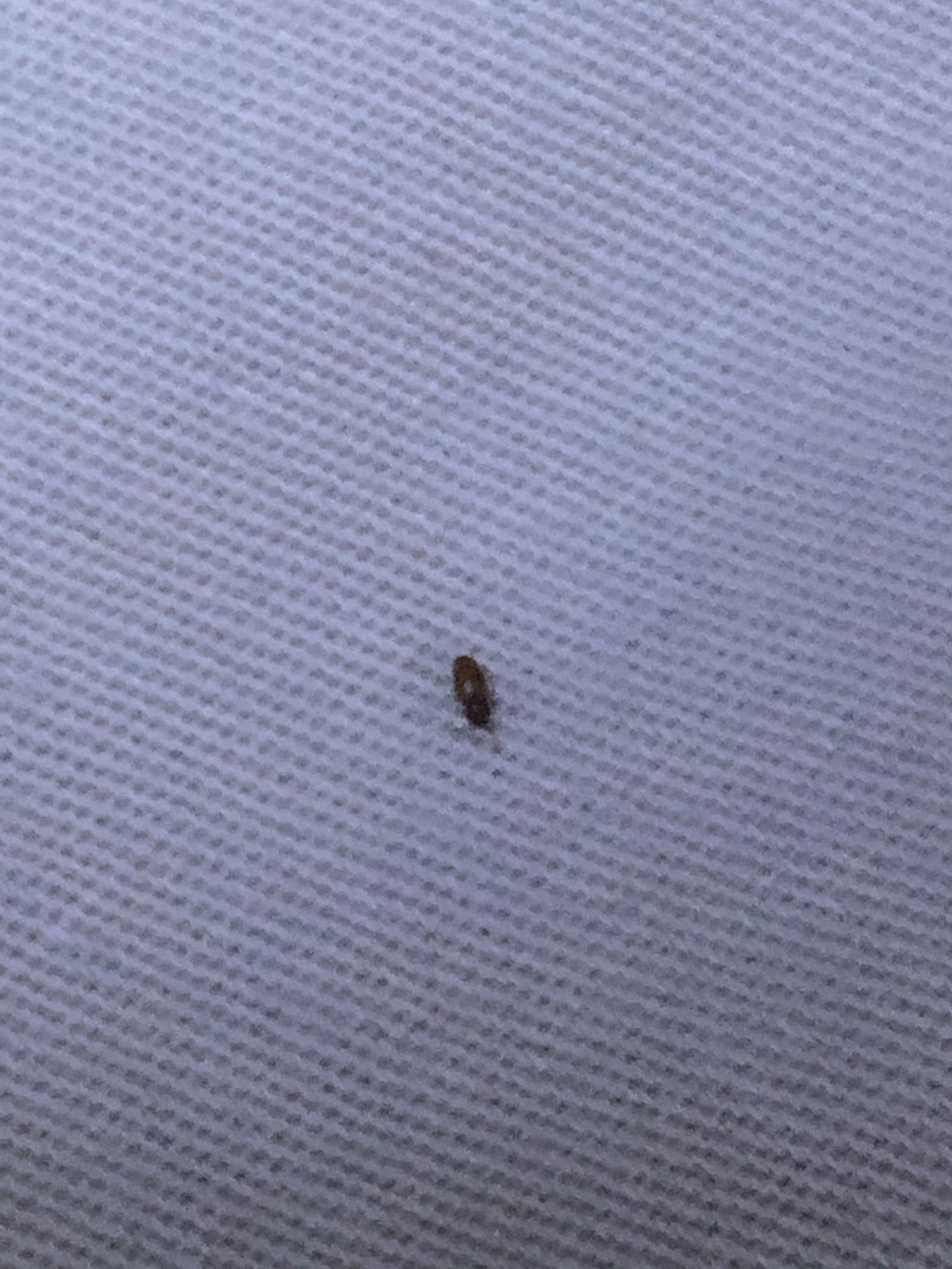 娱乐生活 第63页