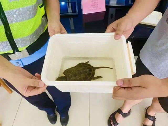 地方新闻 第57页