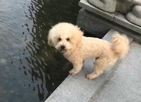 港澳新闻 第46页