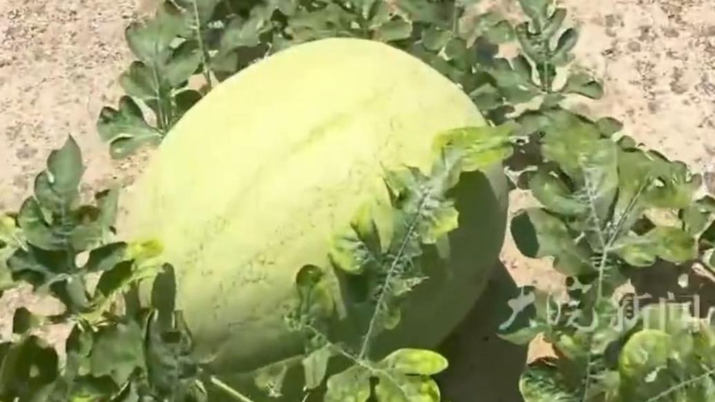 游戏专题 第30页